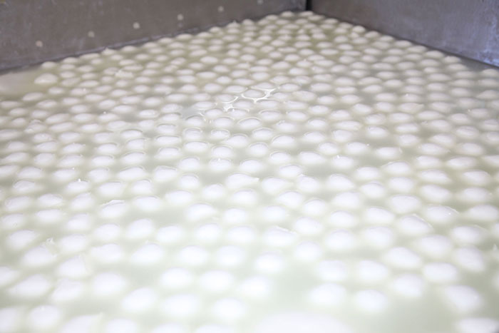 Bocconcini di latte di Bufala